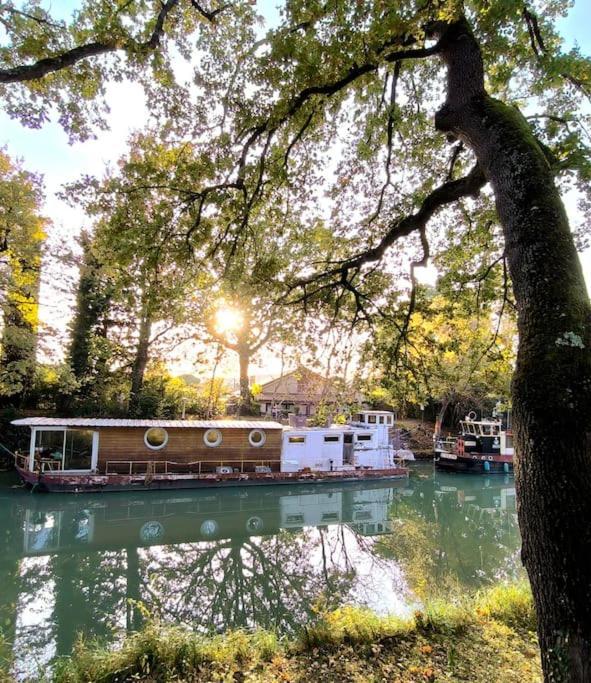 Insolite Peniche Amazonie Canal Du Midi Gardouch Exterior photo
